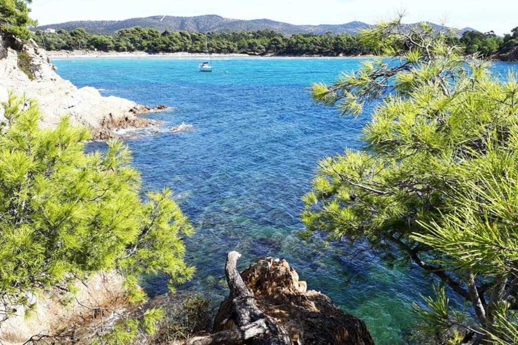 T2 Clim Parking, Entre Nature Et Plage Hyères Exterior foto